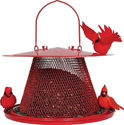 CARDINAL NO/NO RED FEEDER