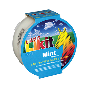 LIKIT LITTLE REFILL MINT 250