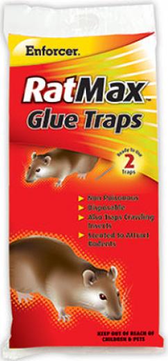 RAT & MOUSE GLUE TRAPS