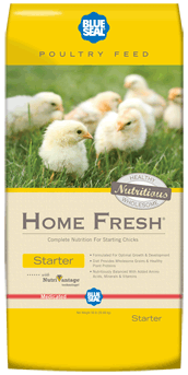 50LB HOMEFRESH STARTER CRUMS-AM