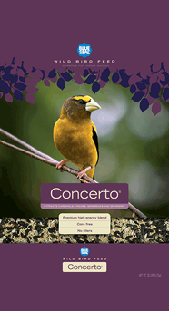 20LB CONCERTO