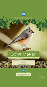 8LB SONG MAKER