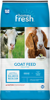 50LB HF 20 DAIRY GOAT PELLET