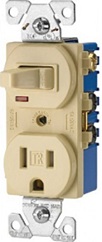 SWITCH/RECEPTACLE IVORY