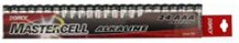 AAA ALKALINE BATTERIES 24PC