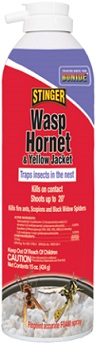 STINGER WASP & HORNET FOAM 15OZ