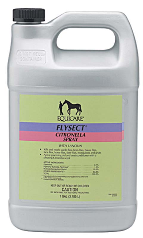 FLYSECT CITRONELLA REFILL GAL