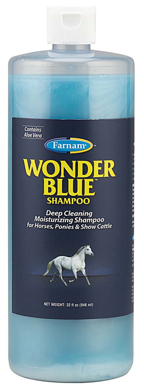 WONDER BLUE SHAMPOO       QT 12