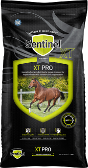 50LB SENTINEL XT PRO