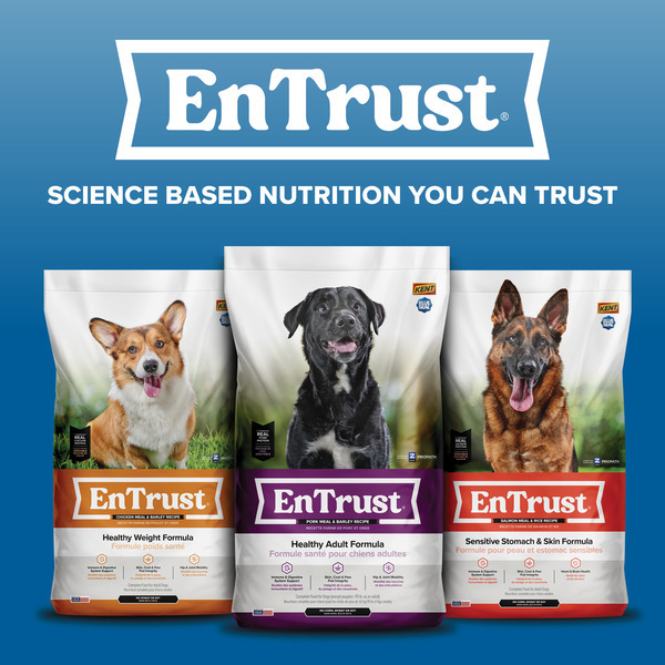 DOG &amp; CAT FOOD