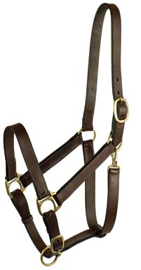 GATSBY LEATHER HALTER SUCKLING