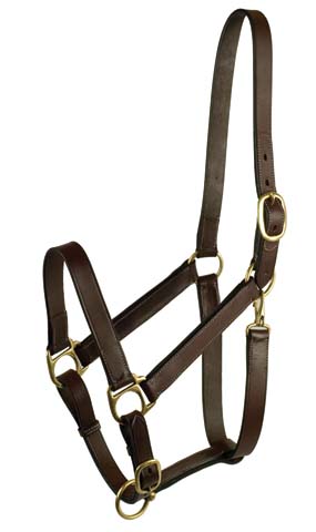 GATSBY LEATHER HALTER LRG