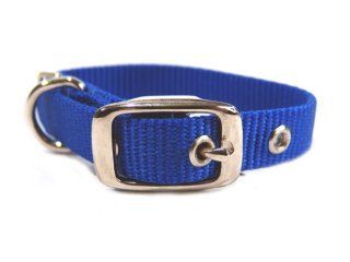 COLLAR NYLON BL 5/8X12