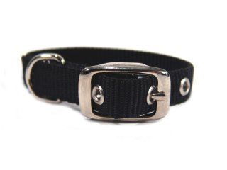 COLLAR NYLON BK 5/8X12