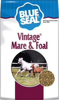 50LB INSPIRE MARE & FOAL