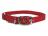 COLLAR NYLON 1X32 RED         DD