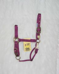 1DAS11-16 LG.HALTER-WINE