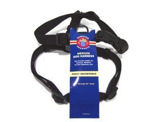 HARNESS NYLON ADJ BLK  3/4IN