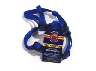 HARNESS NYLON ADJ BL XSM