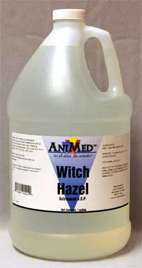 WITCH HAZEL GALLON