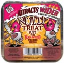 SUET NUTTY TREAT 11.75OZ