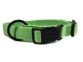 COLLAR NYLON ADJ 1" LIME