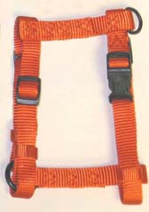 HARNESS NYLON ADJ MANGO X-SMALL