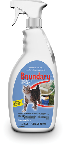 *BOUNDRY CAT 22OZ