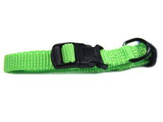 COLLAR NYLON ADJ 3/8 LIME