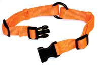 COLLAR SAFE-RITE NYLON ADJ 1IN