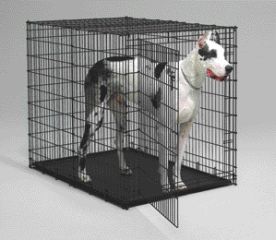 DOG CRATE STARTER 54X35X45