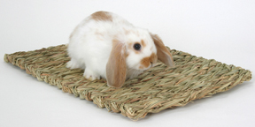 SM ANIMAL WOVEN GRASS MAT MED