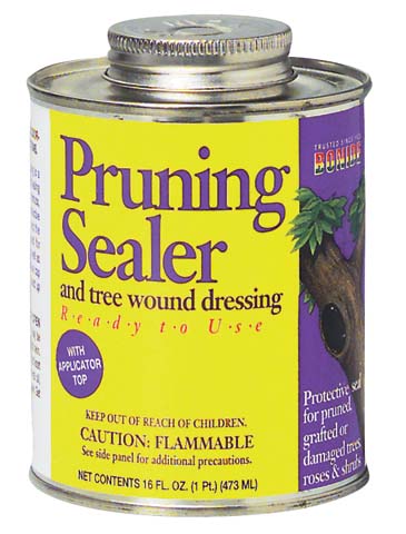 PRUNING SEALER BRUSH PT.