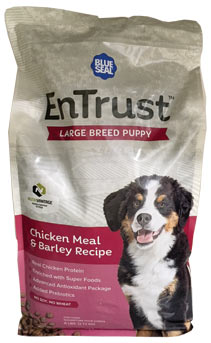 6LB ENTRUST LARGE BREED PUPPY