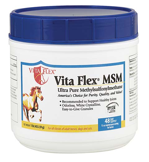 VITA FLEX MSM 1LB