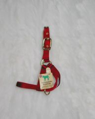 **CALF TURNOUT HALTER RED 30DCF