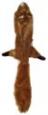 *DOG TOY PLUSH SKINNEEZ SQUIRRE