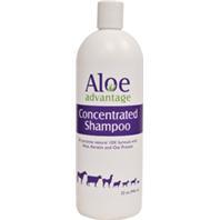 ALOE CONCENTRATE SHAMPOO QT