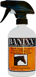 BANIXX WOUND CARE 16OZ